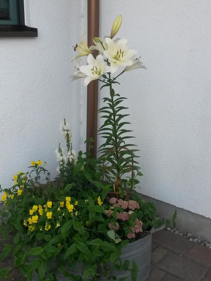 DoberschutzRuhe Geniessen Bei Kulbes公寓 外观 照片